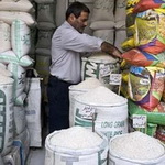 اقبال عمومی به مصرف برنج داخلی