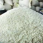 پرورش برنج کم رنج در 50 هزار هکتار از شالیزارهای گیلان