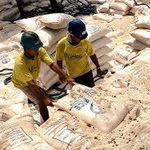کاهش تعرفه واردات، قاچاق برنج را کاهش داد