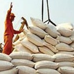 برنج در دست انداز واردات