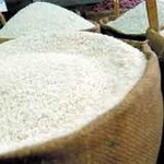 رونمایی از "طاهر" و "قدس"؛ ارقام جدید برنج مقاوم به کم آبی و خشکسالی